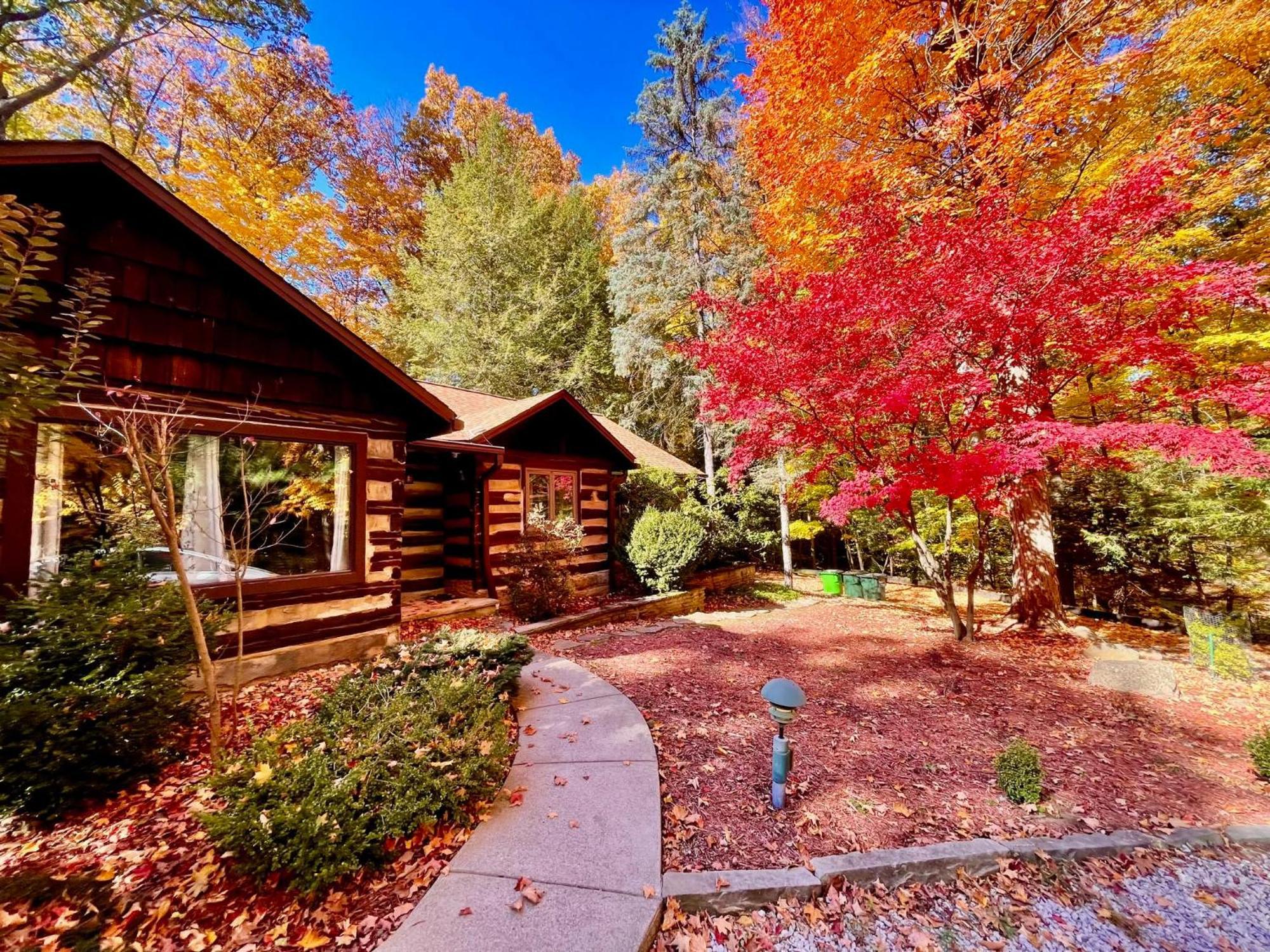 Log Cabin - Natures Oasis - Fire Pit & Gazebo Cleveland Eksteriør bilde